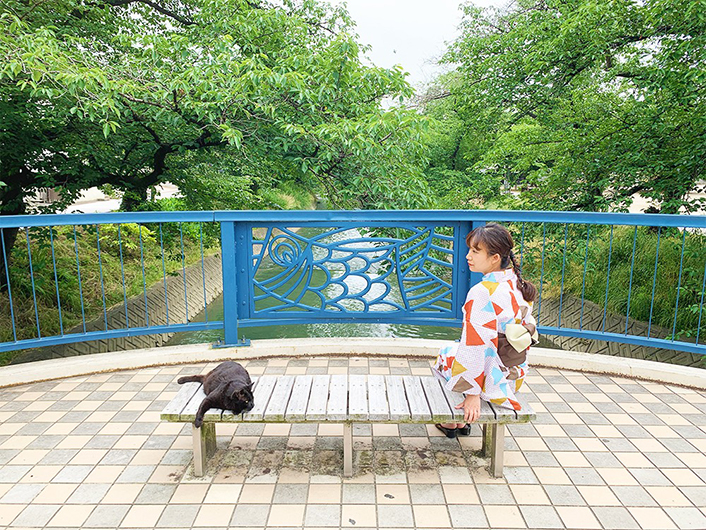 真光寺橋